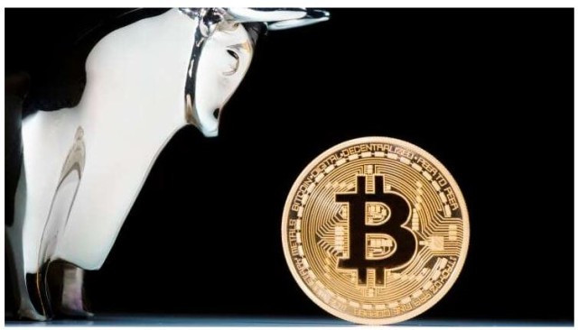 bitcoin bull-6LdWib7RuF.JPG